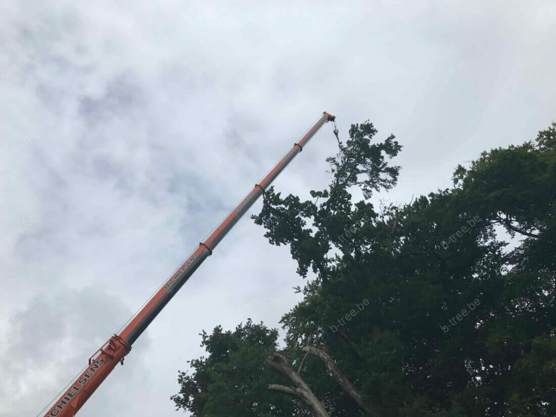 Hijsen kruindeel met telescoopkraan