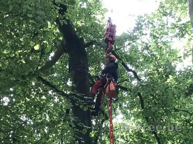 Gebruik van de telescoopkraan tijdens de werken. Vastmaken van de boom aan het hijsoog van de telescoopkraan.
