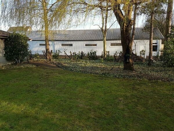 Standplaatsverbetering van een wilg (salix) te Hulshout