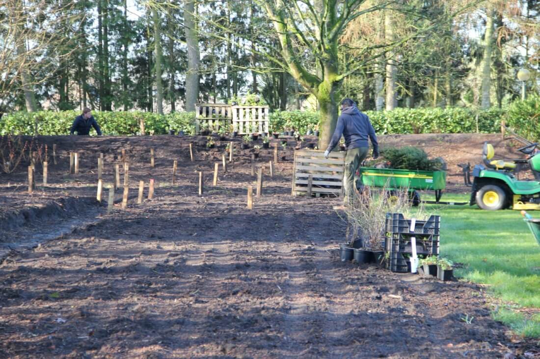 Uitzetten van plantgoed tijdens de aanleg van een border