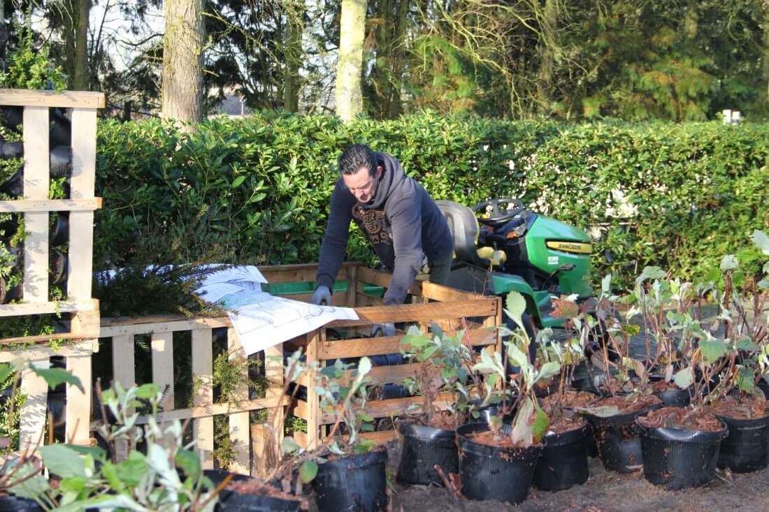 Uitzetten en sorteren van het plantgoed vóór het aanleggen van de borden
