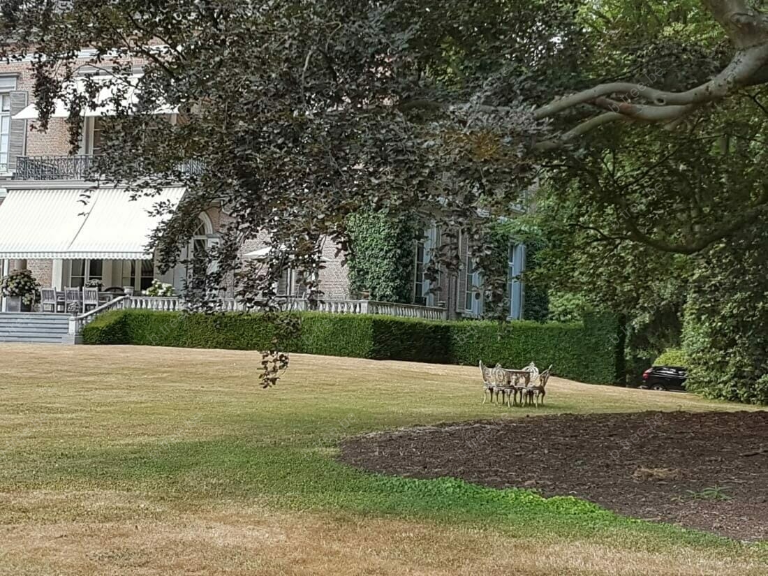 Standplaatsverbetering rode beuk in parktuin