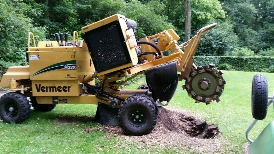 Uitfrezen stronk in keurig gazon.