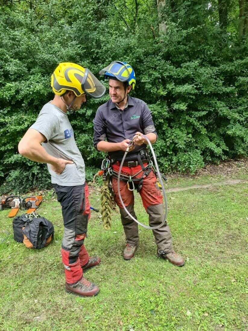 Vacature boomverzorging: met z'n twee overleggen voor aanvang van het werk, communicatie is essentieel in ons vak.