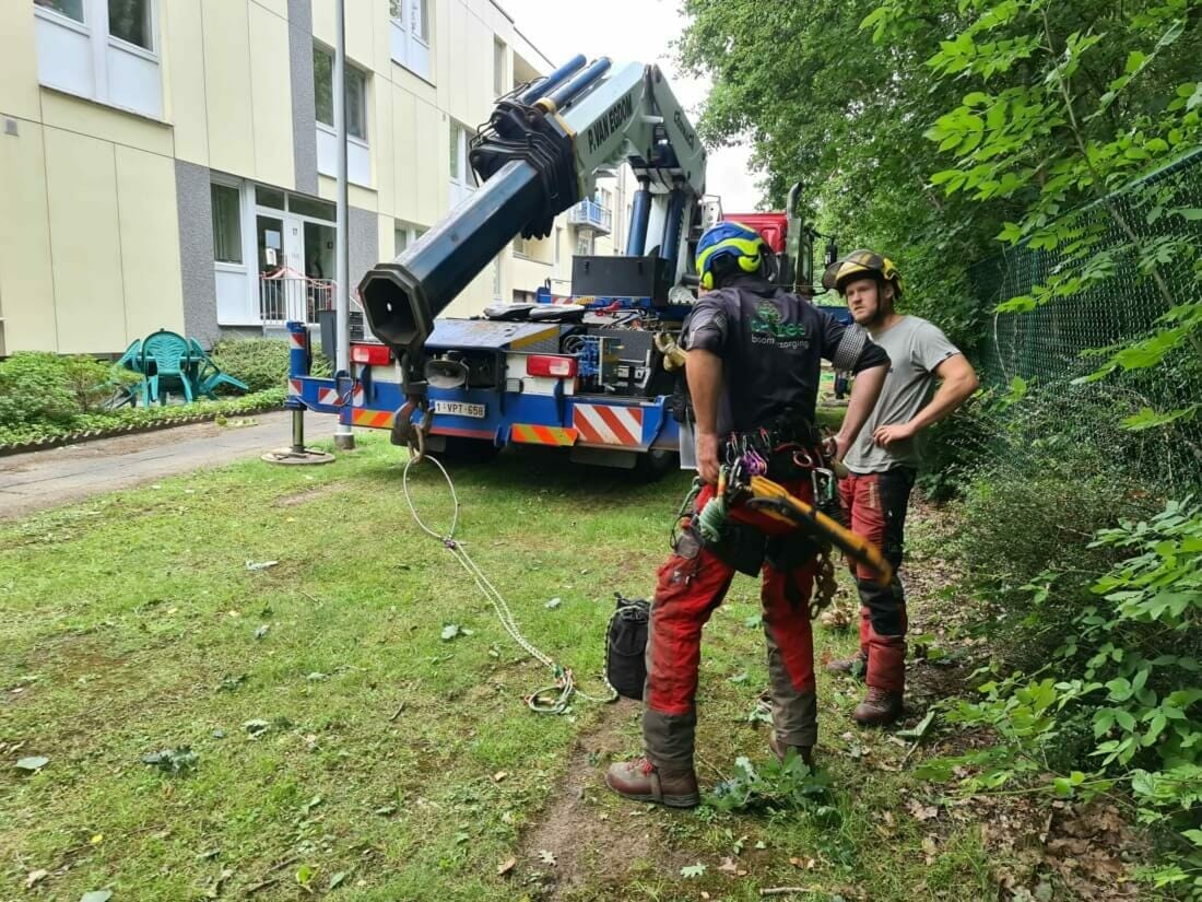 Werken met een telescoopkraan in de boomverzorging is een pluspunt
