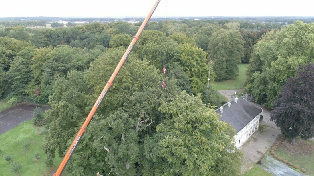 Vellen boom met telescoopkraan: inhijsen van boomverzorger