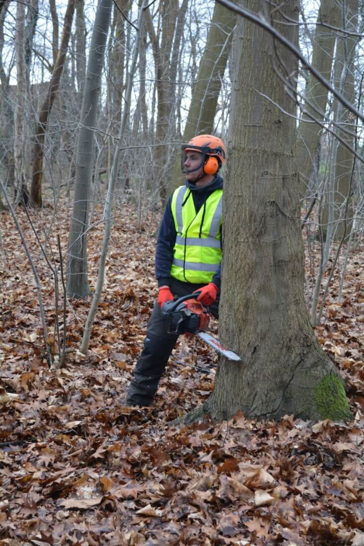 Bepalen valrichting en zagen van de valkerf