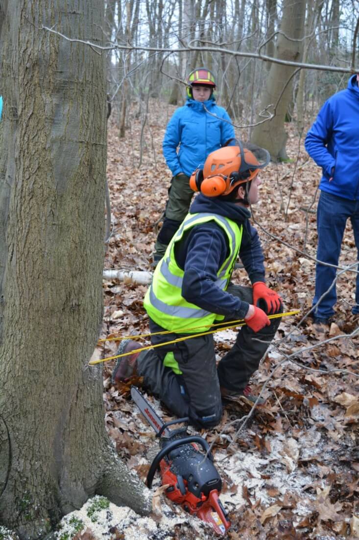 Controleren van de valrichting voor het vellen