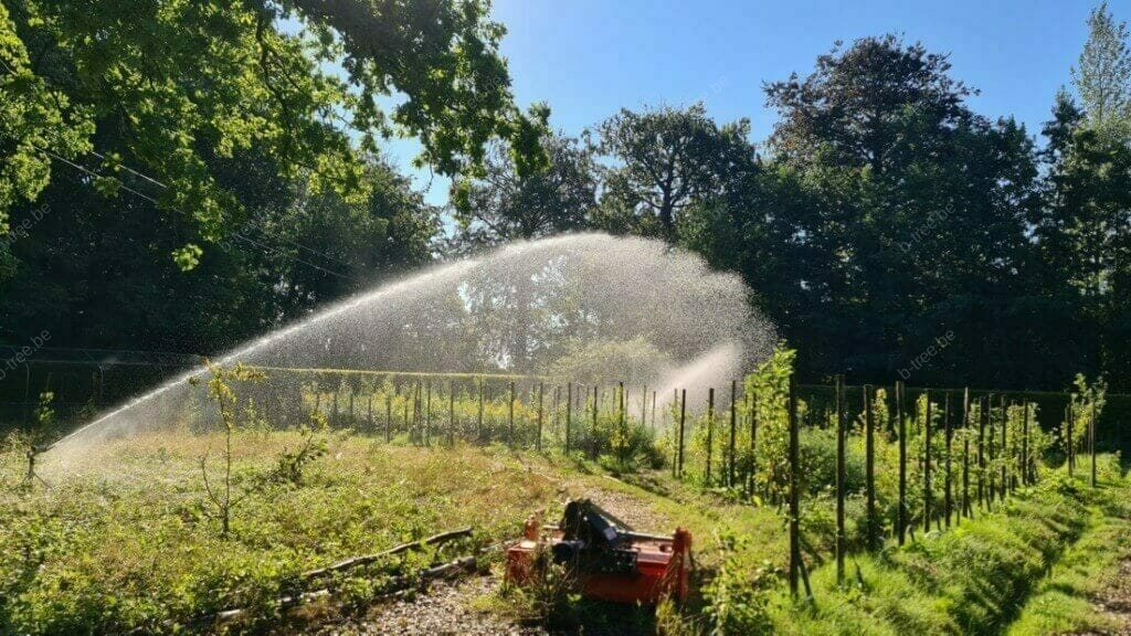 Monitoring en irrigatie van bomen bij bronbemaling; water geven met sproeiers