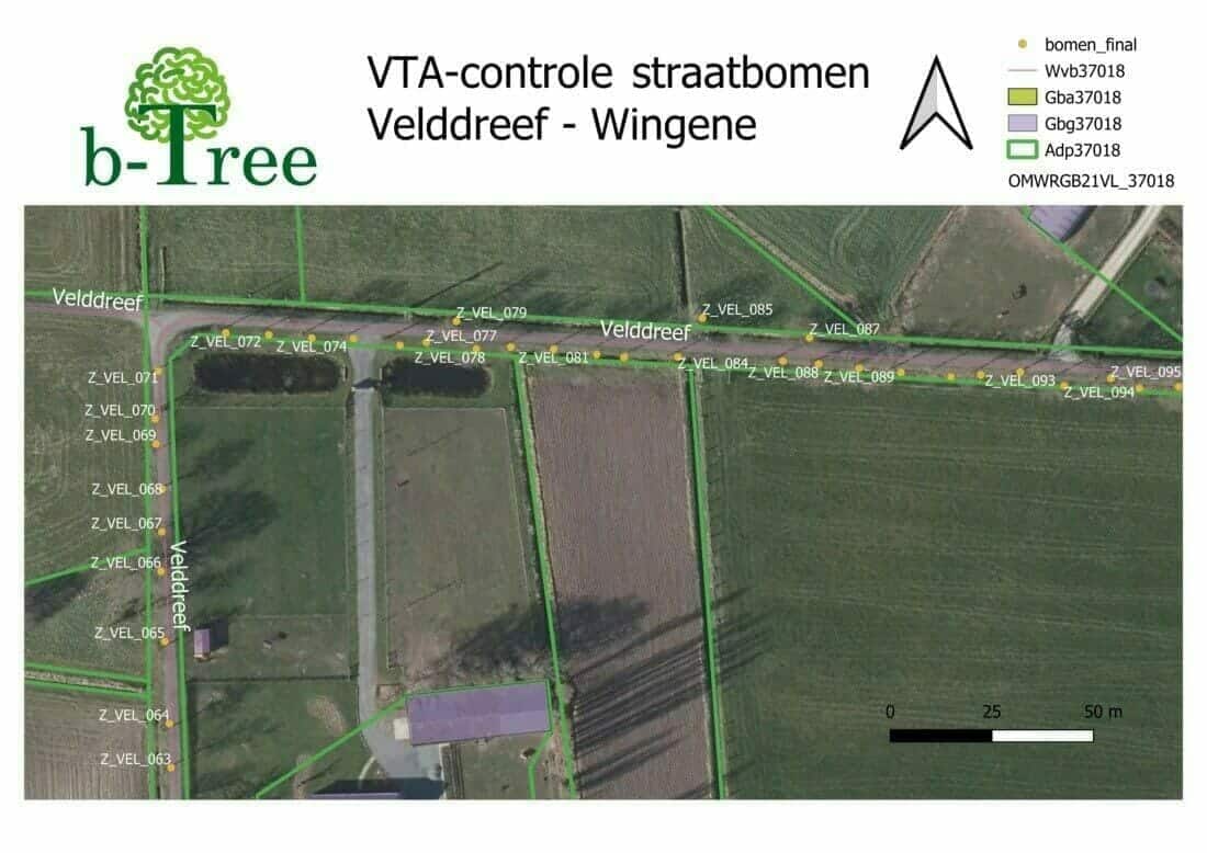 Printout geografisch plannetje uit stuk van een boombeheerplan of bomenplan van laanbomen.