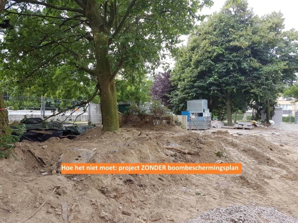 Hoe het niet moet: project zonder boombeschermingsplan.
