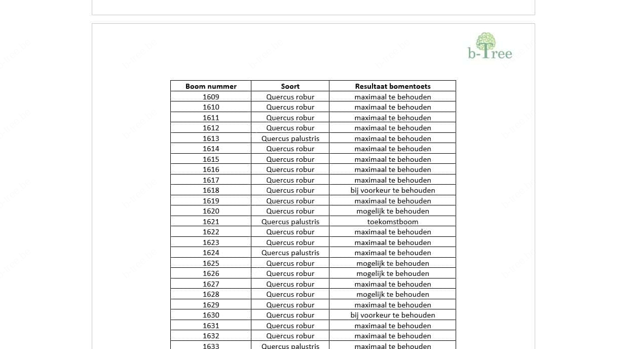 Printscreen uit een verslag met bomentoets.