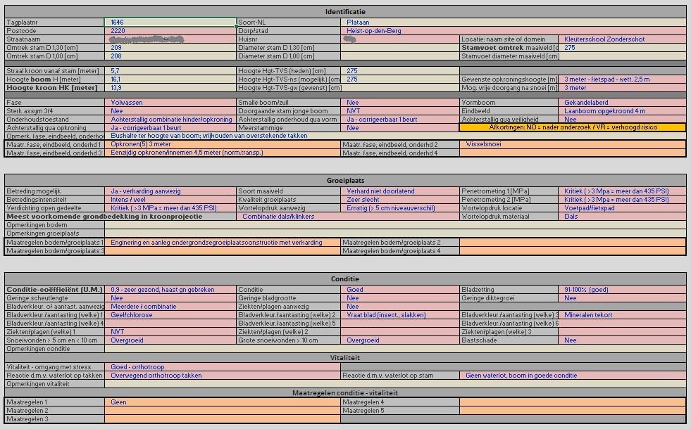 Printscreen van deel van de boomveiligheidsfiche met de verschillende parameters die in kaart werden gebracht tijdens de boomveiligheidscontrole.